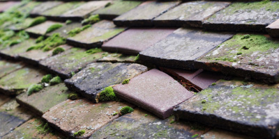 Piddington roof repair costs